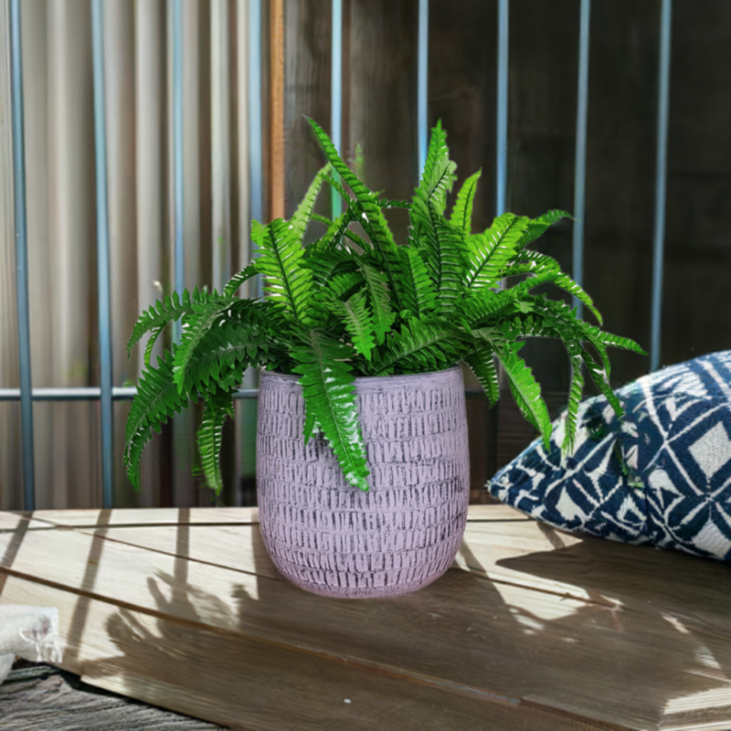 PLANTA HELECHO BOSTON 45cm VERDE