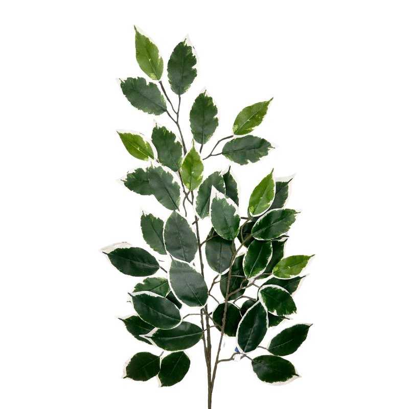 HOJA FICUS x3 58cm VERDE