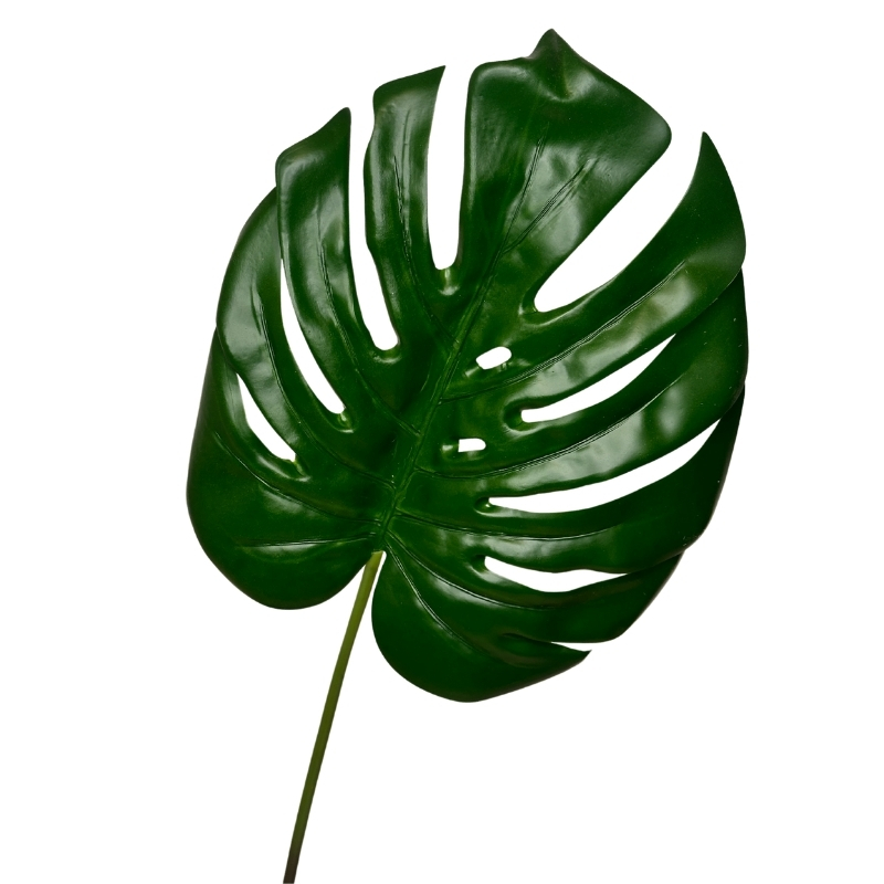 HOJA MONSTERA 60cm VERDE