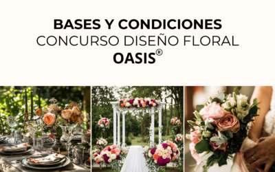 Bases concurso diseño floral OASIS® ¡Descubre cómo ganar grandes premios!