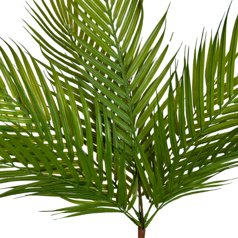 BUSH MINI ARECA 59cm VERDE