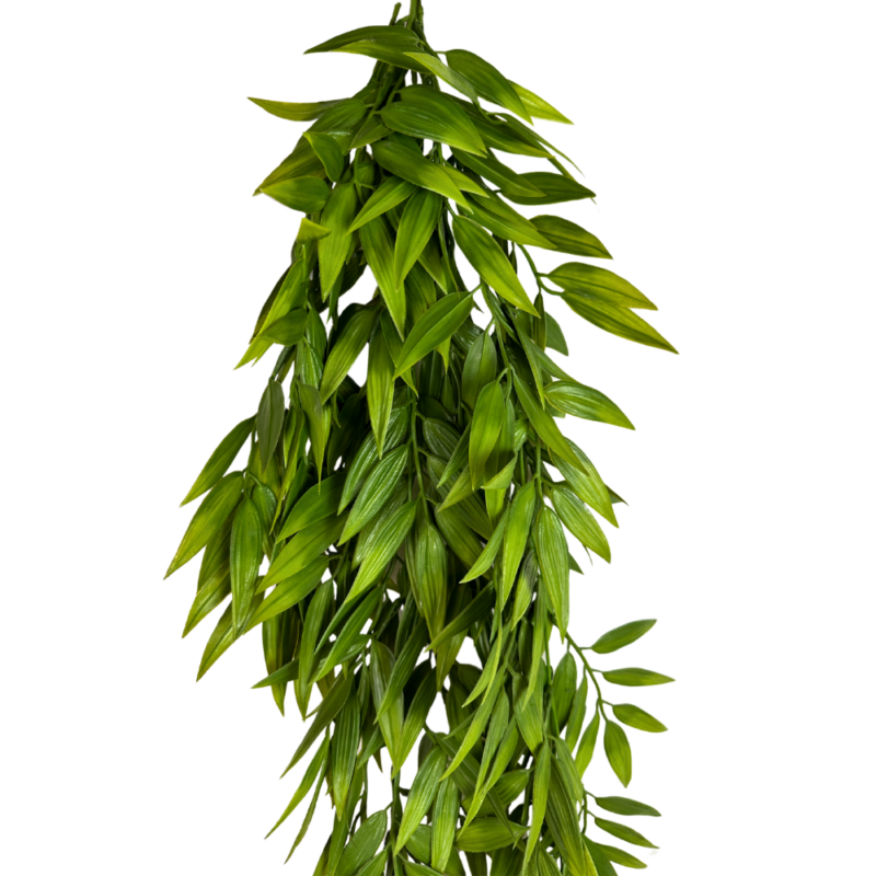 ENREDADERA LAUREL 86cm VERDE