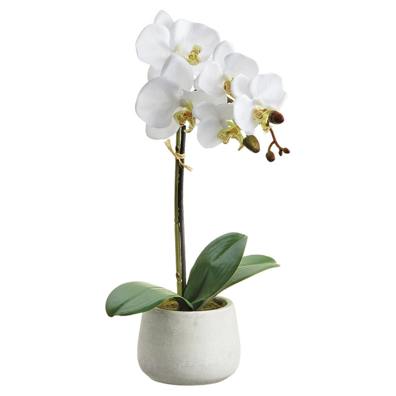 ORQUIDEA EN BASE 41cm BLANCO