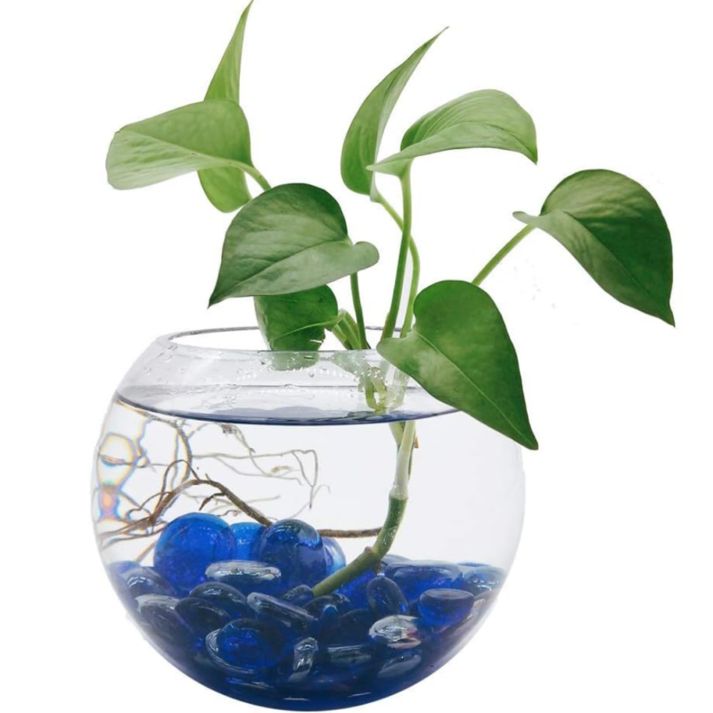 Gemas decorativas azules en un florero con una planta