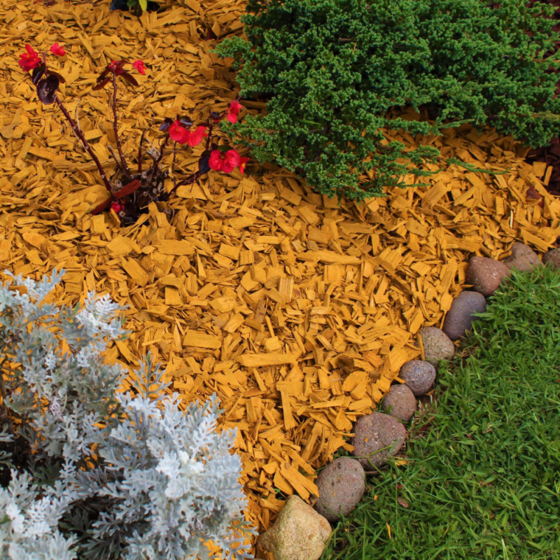 Mulch amarillo decorando el patio