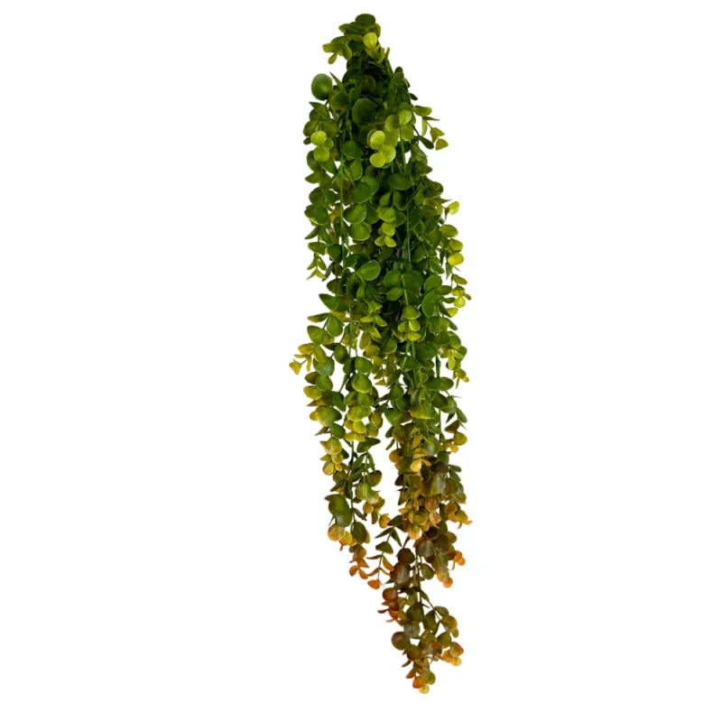 ENREDADERA DOLLAR 81cm VERDE
