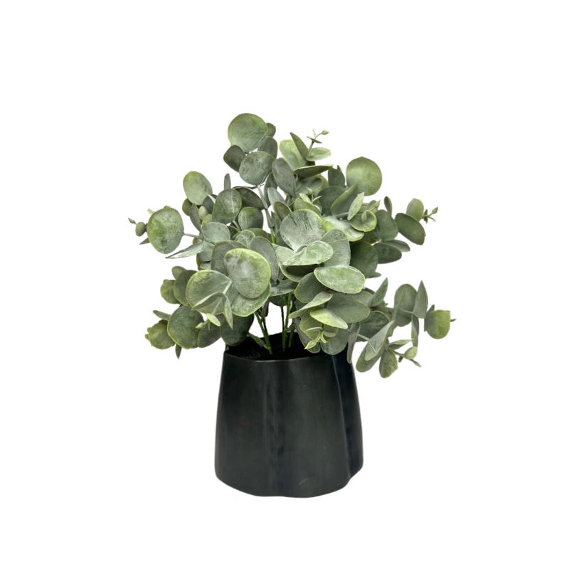 DISEÑO EUCALIPTHUS 28X15cm BASE METALICA