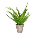 Planta Artificial Chica Helecho 30cm