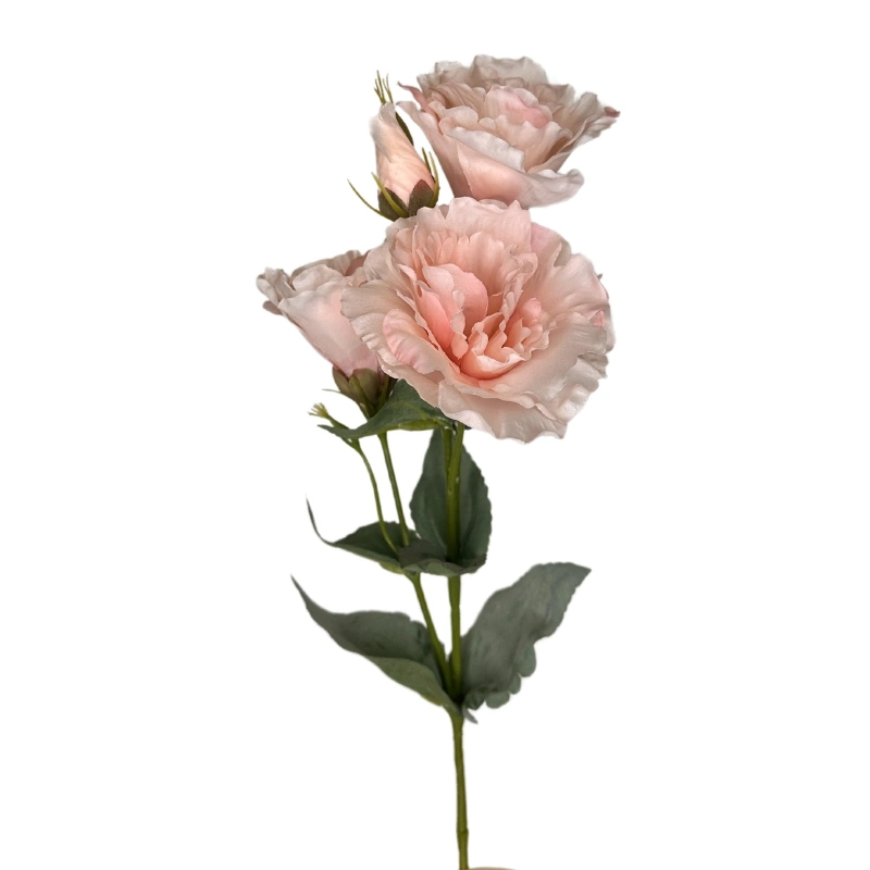 LISIANTUS 53cm ROSADO