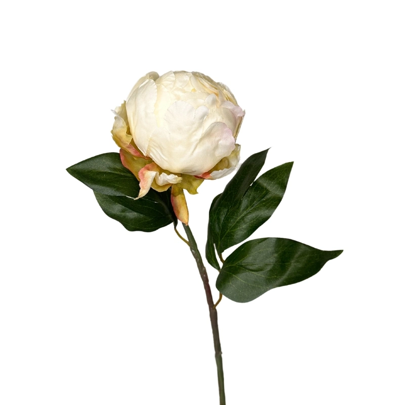 PEONIA BOTON 45cm CREMA