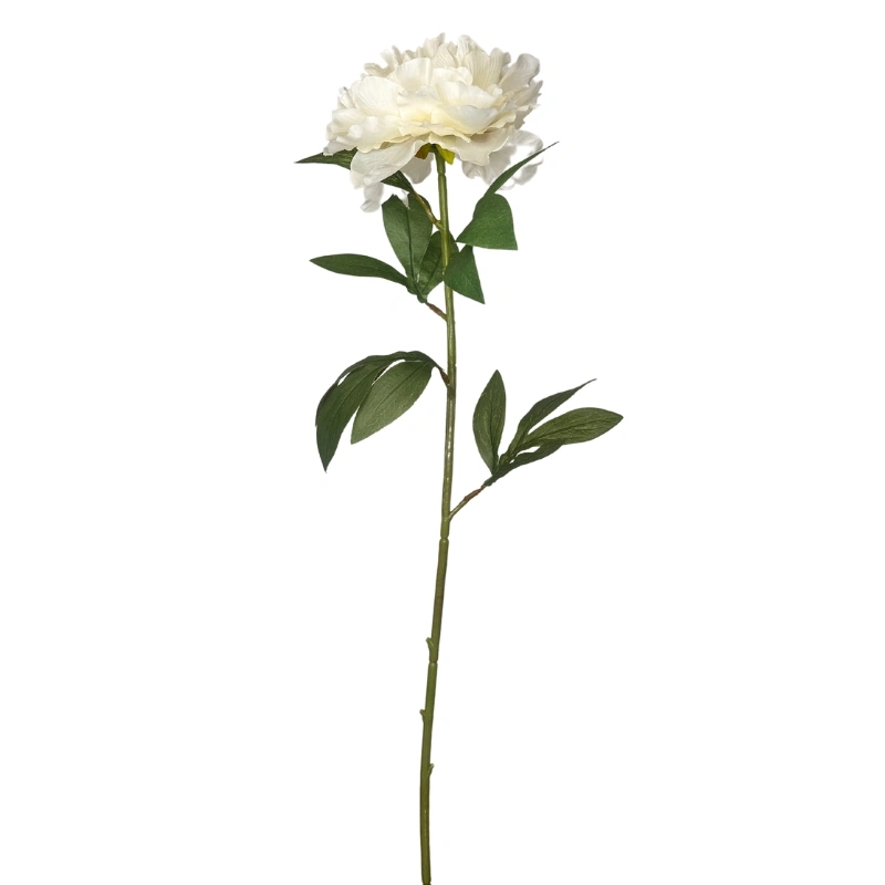 PEONIA PEARL 68cm CREMA