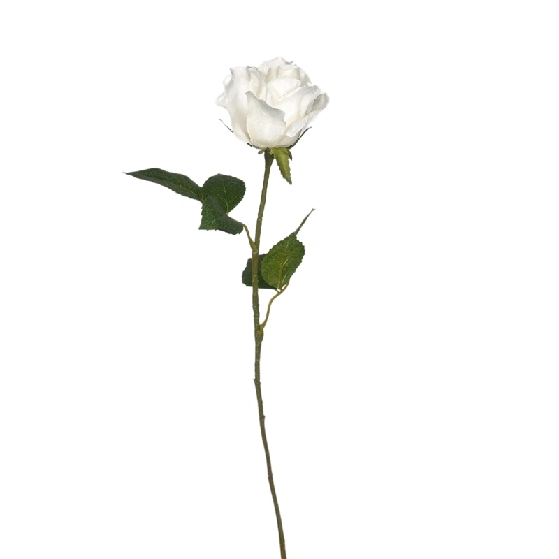 ROSA BOTON 55cm CREMA